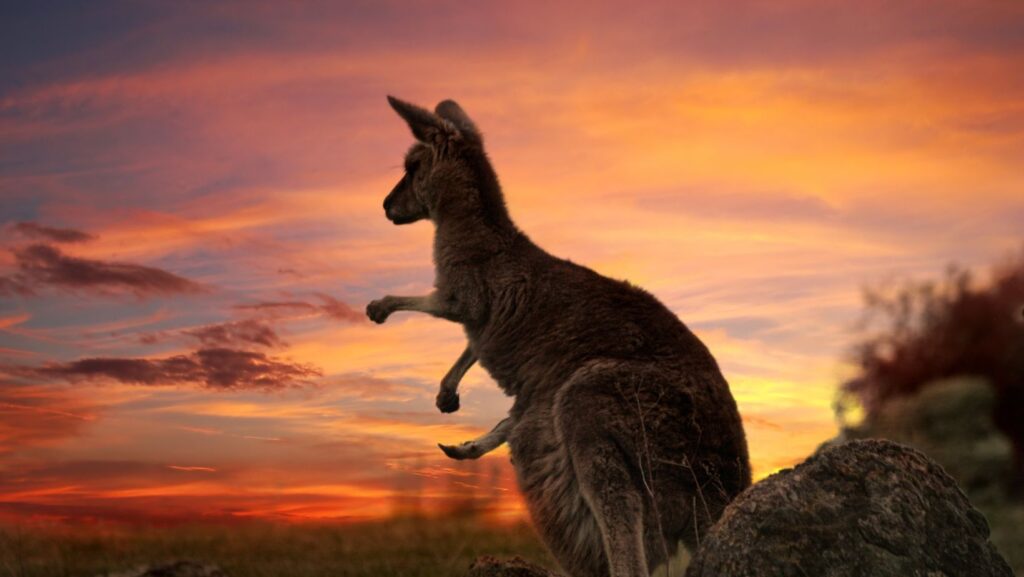 where to live in australia