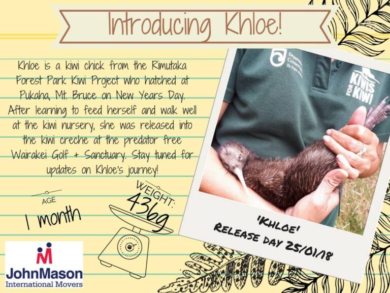khloe