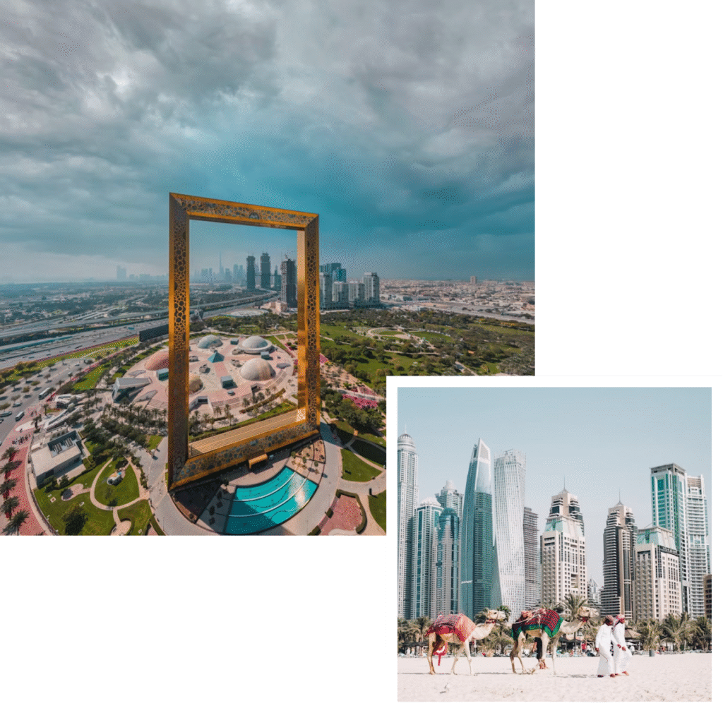 international removals to uae