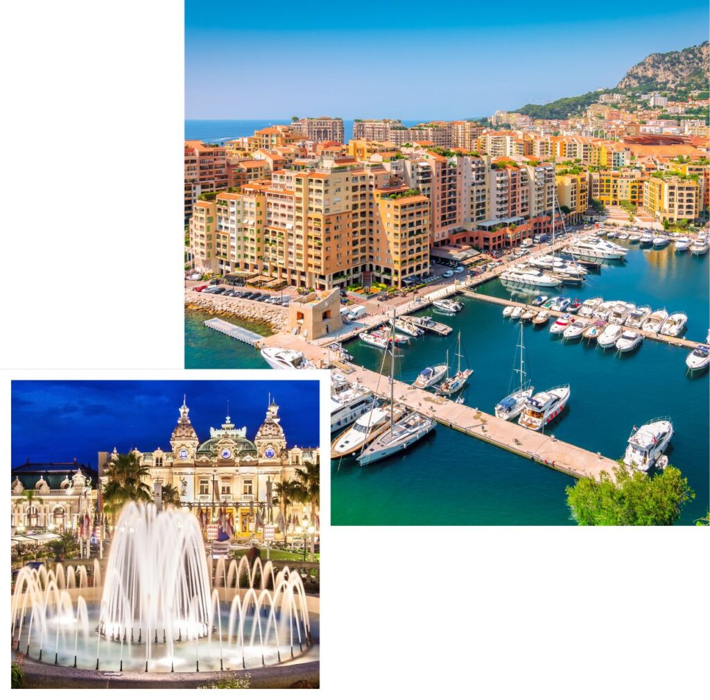 premium removals to monaco