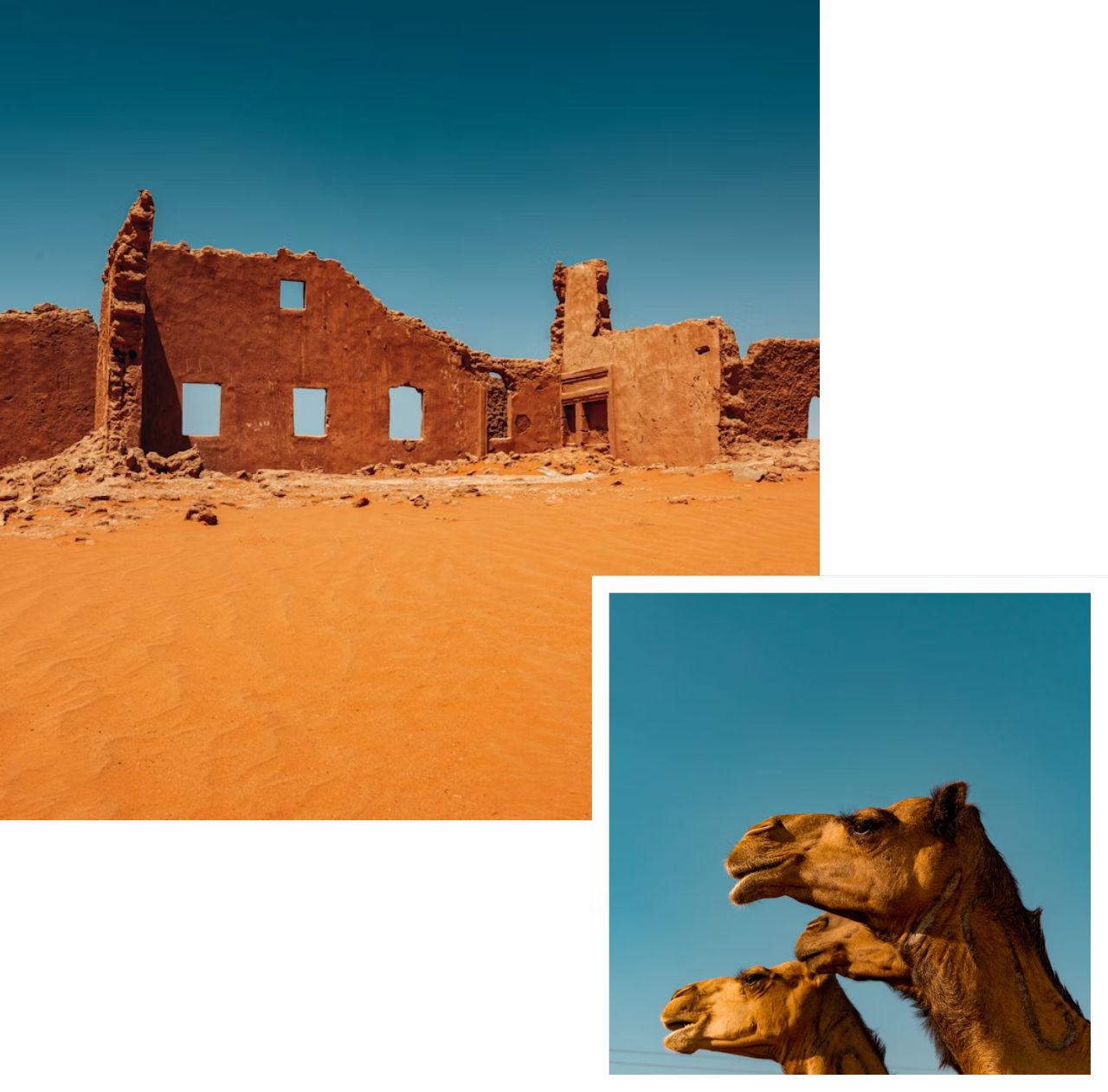 relocation saudi arabia