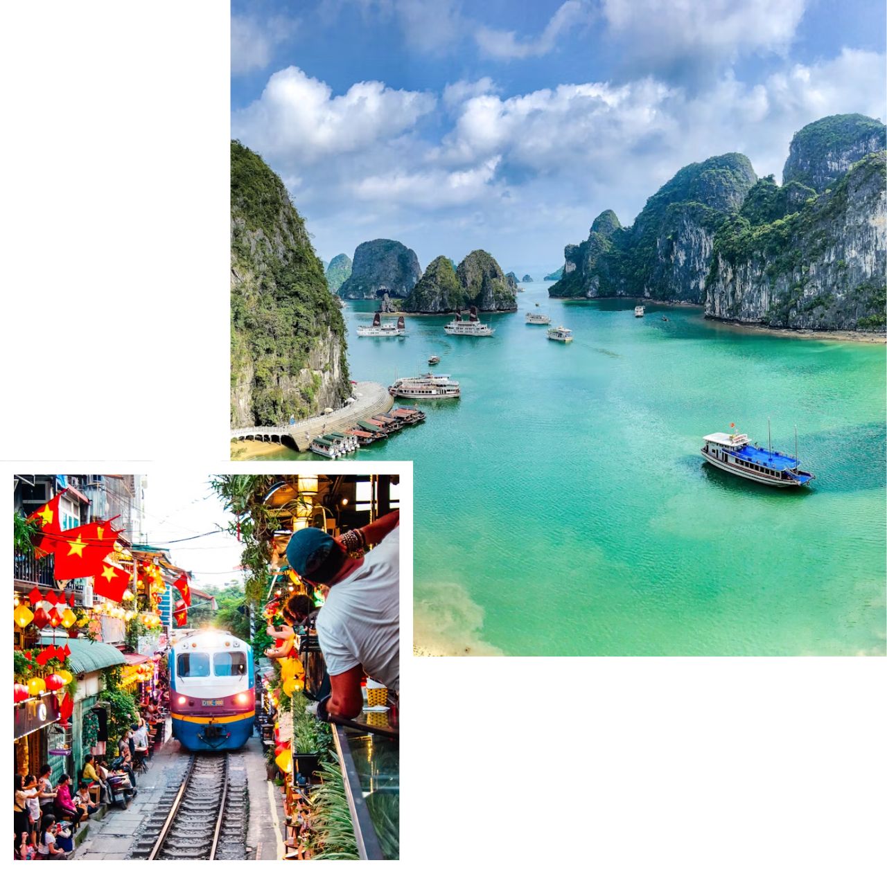 international removals to vietnam
