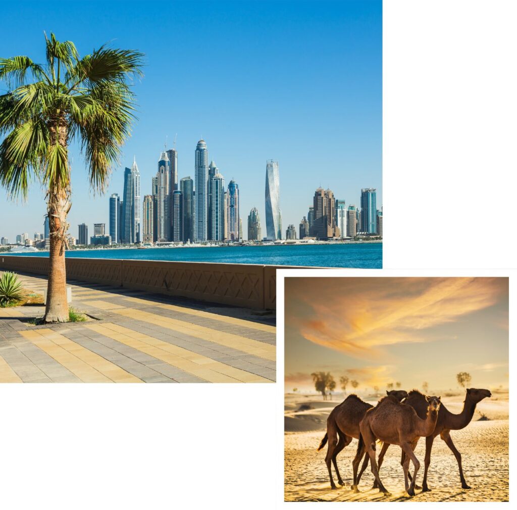 premium removals dubai