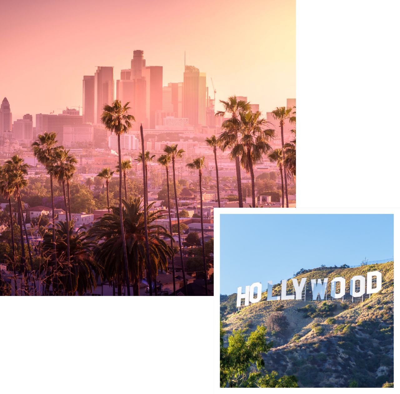 international removals to los angeles