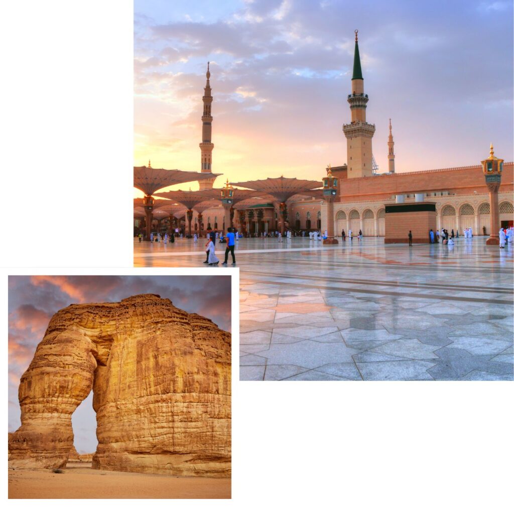 international removals to saudi arabia