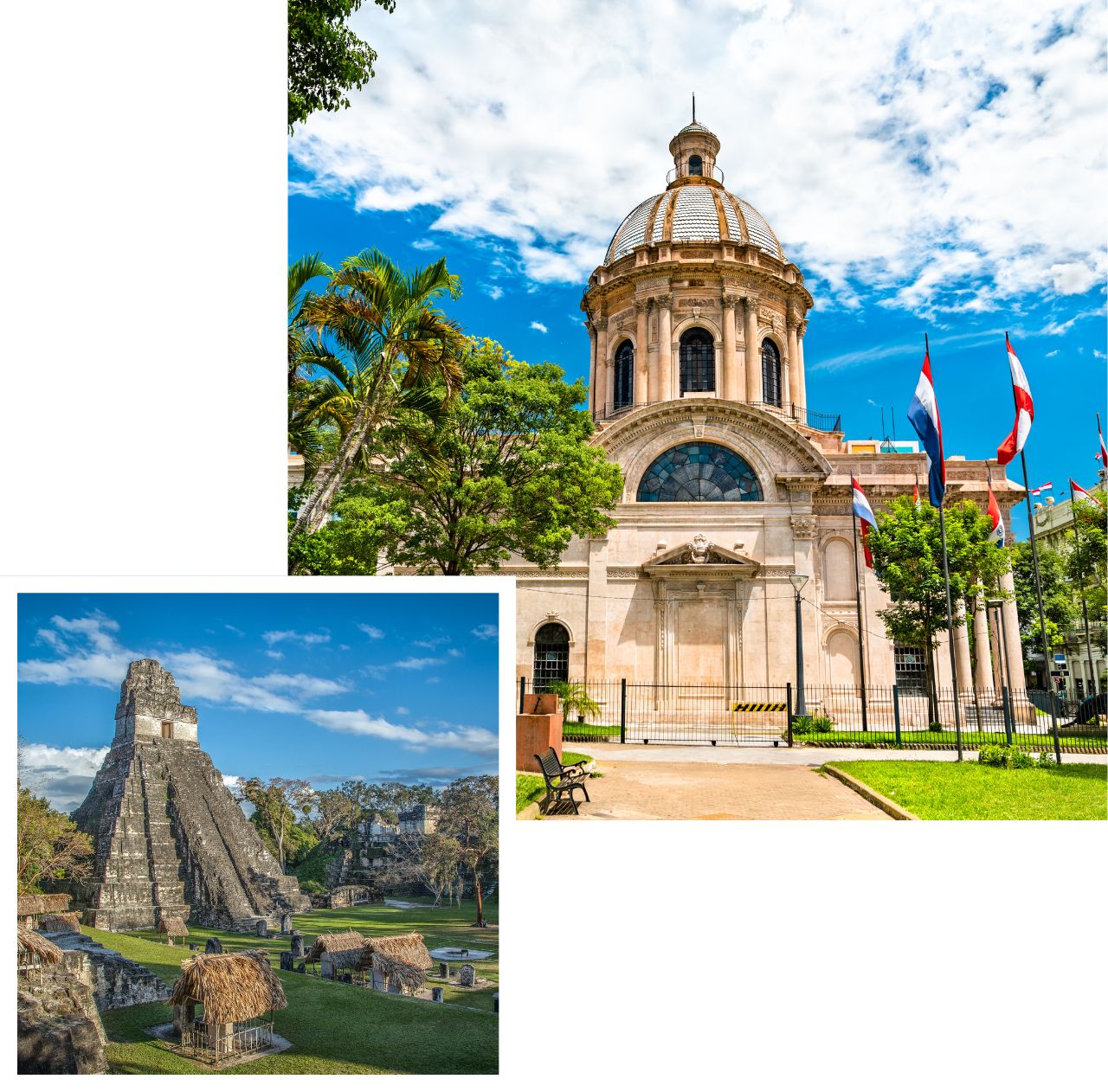 international removals to south america