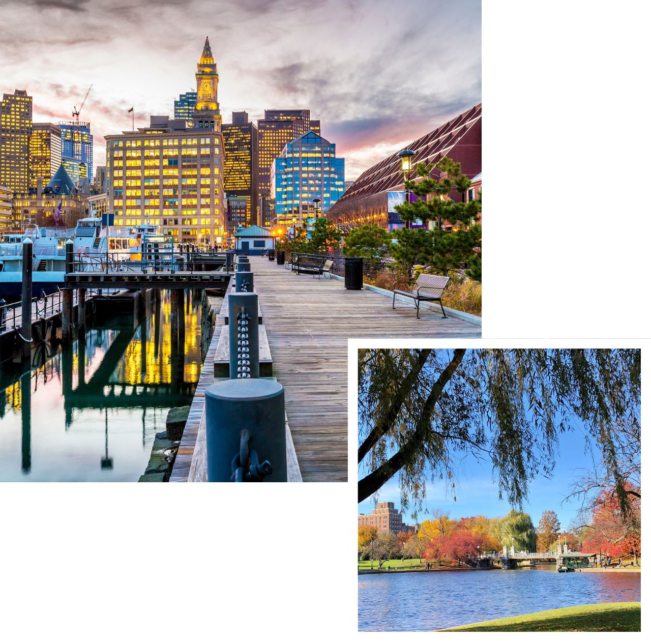 international removals to boston