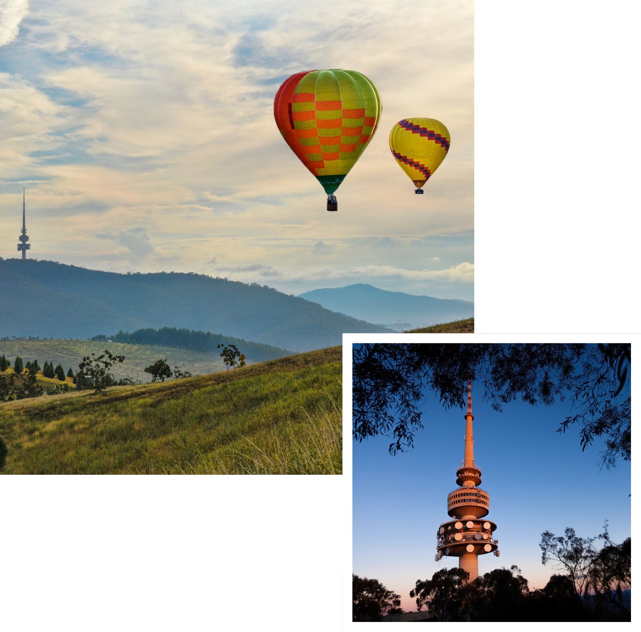 international removals to canberra