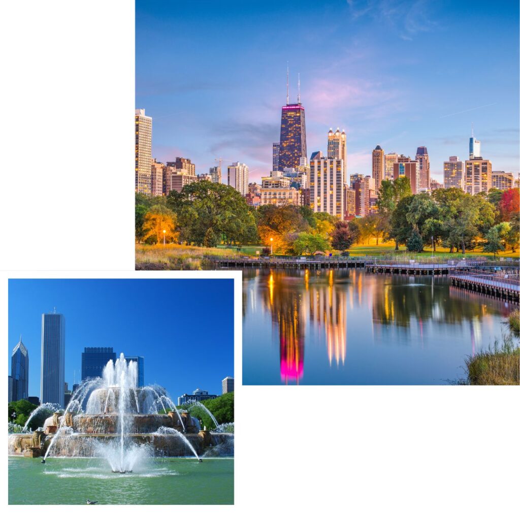 international removals to chicago