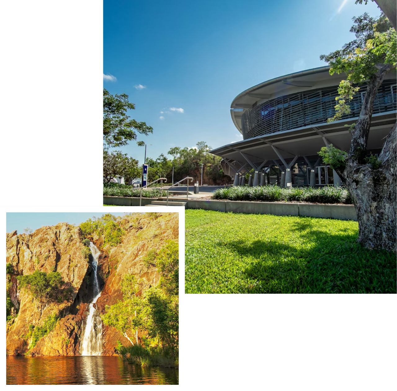 international removals to darwin