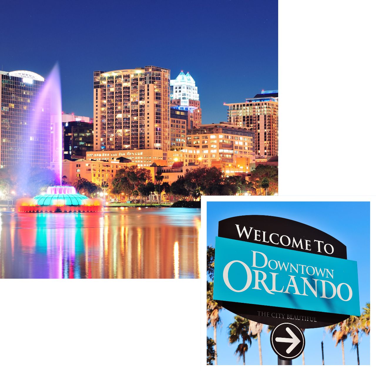 international removals to florida