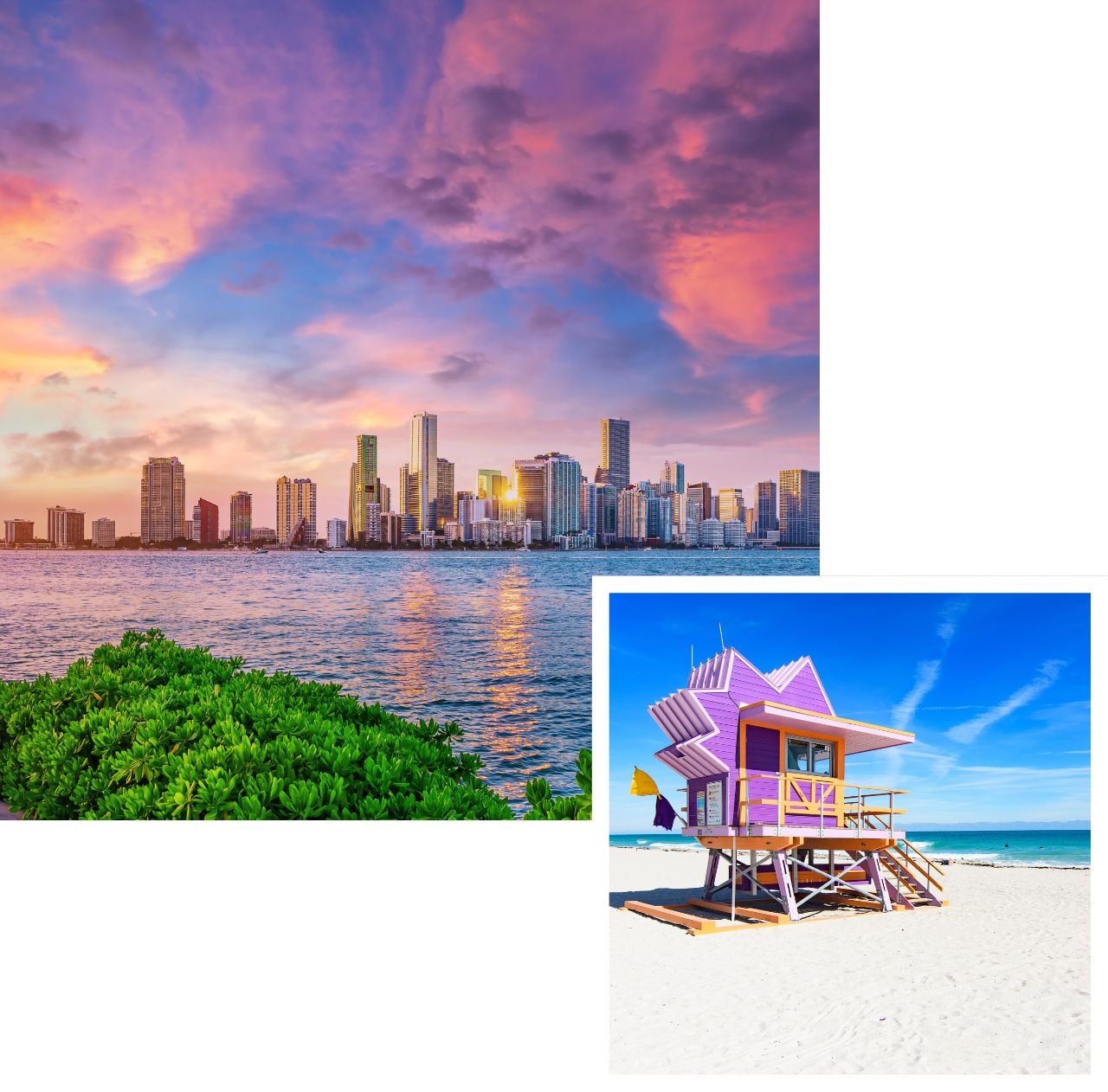 international removals to florida