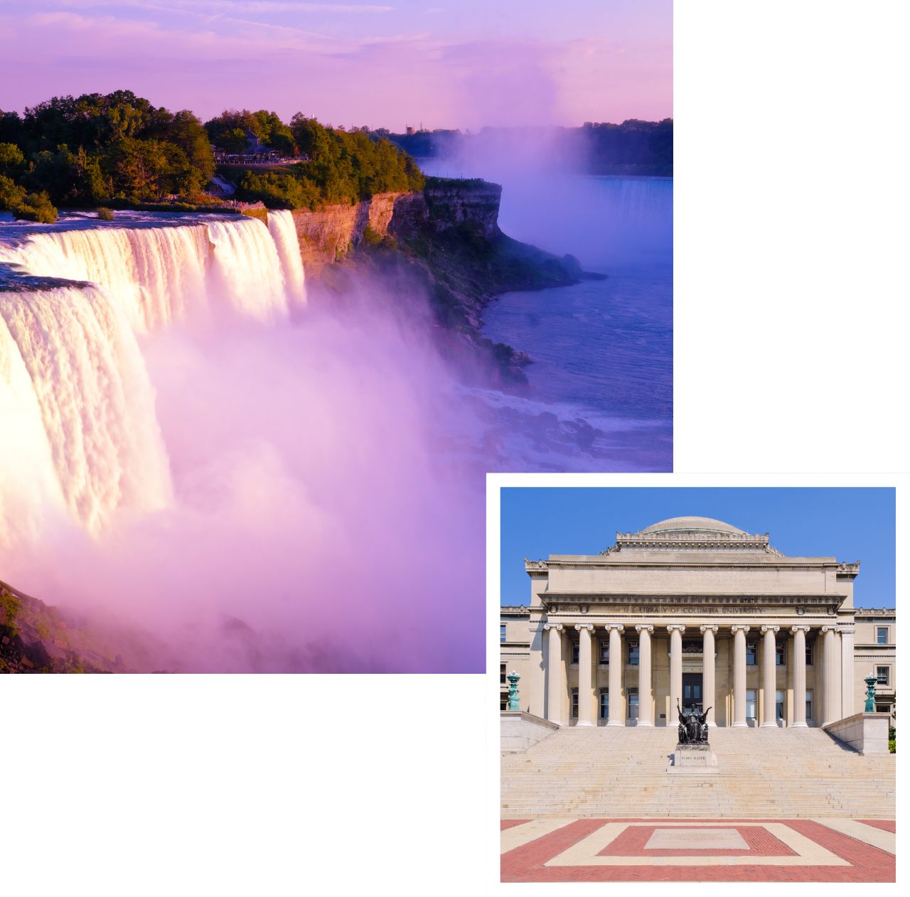 international removals to new york