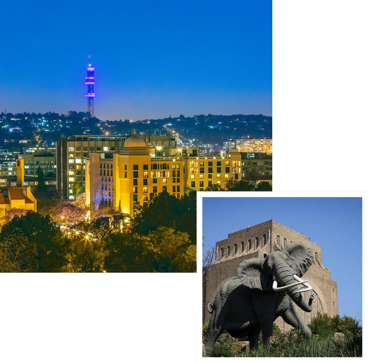 international removals to pretoria