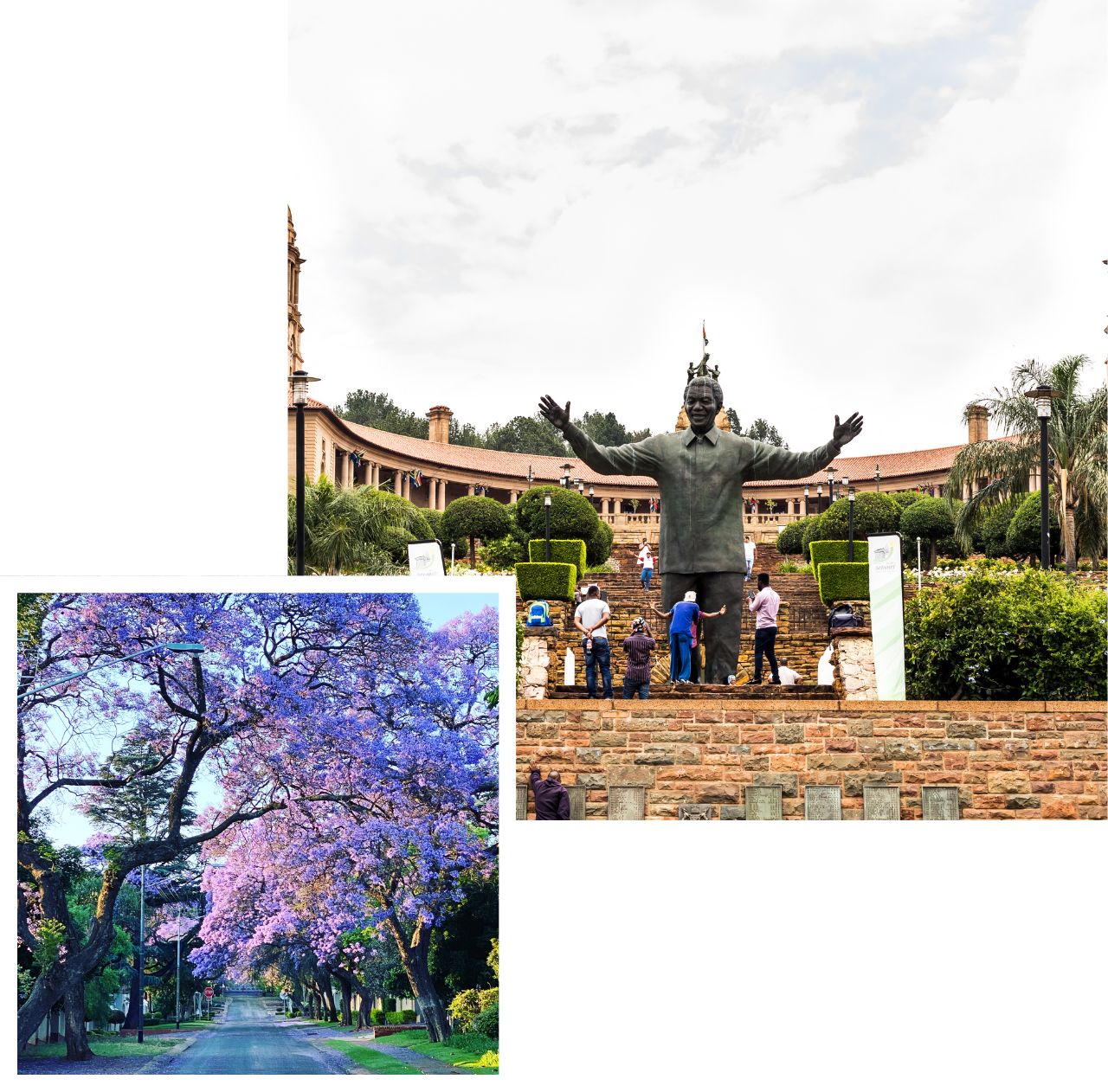 international removals to pretoria