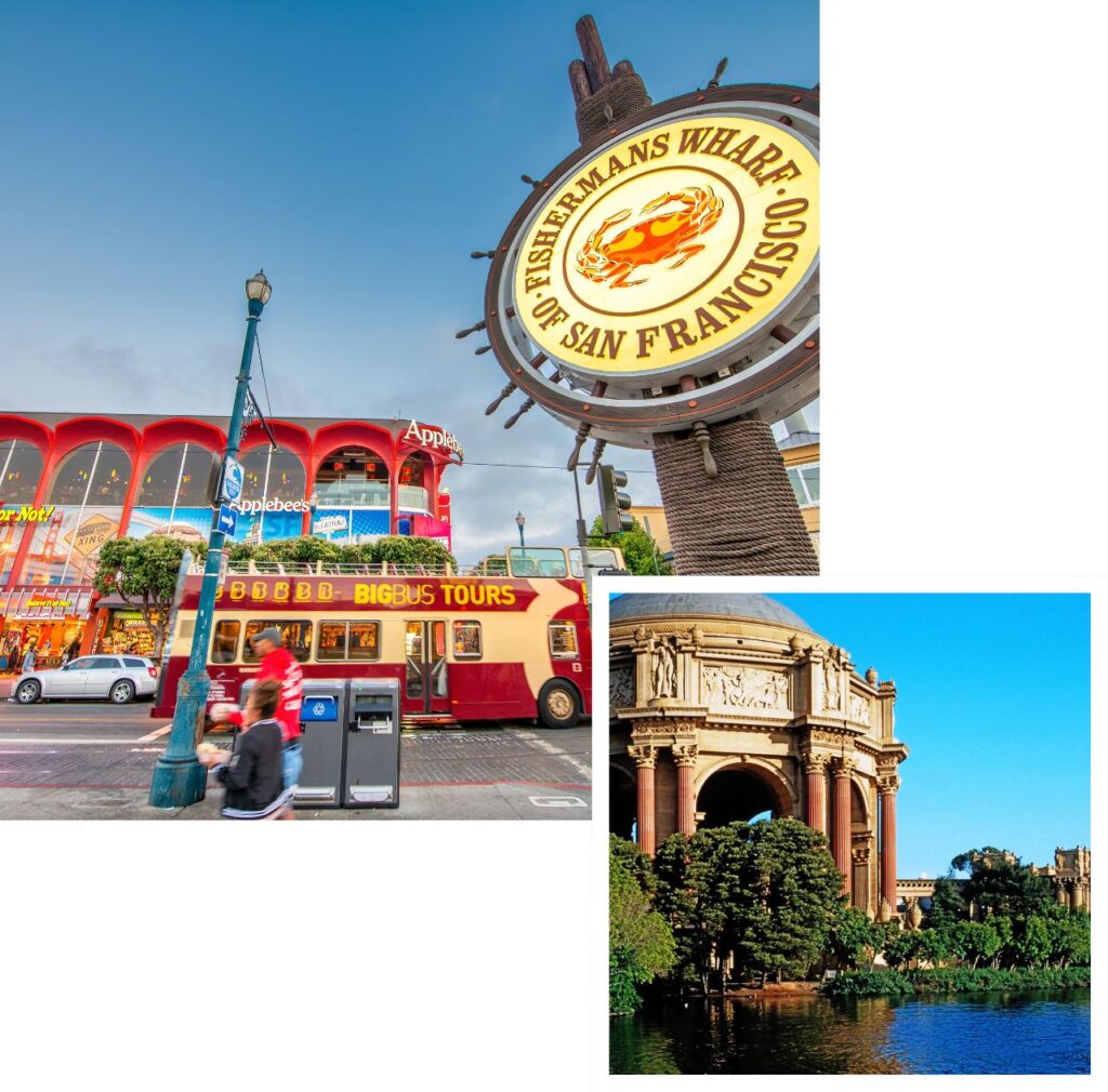 international removals to san francisco