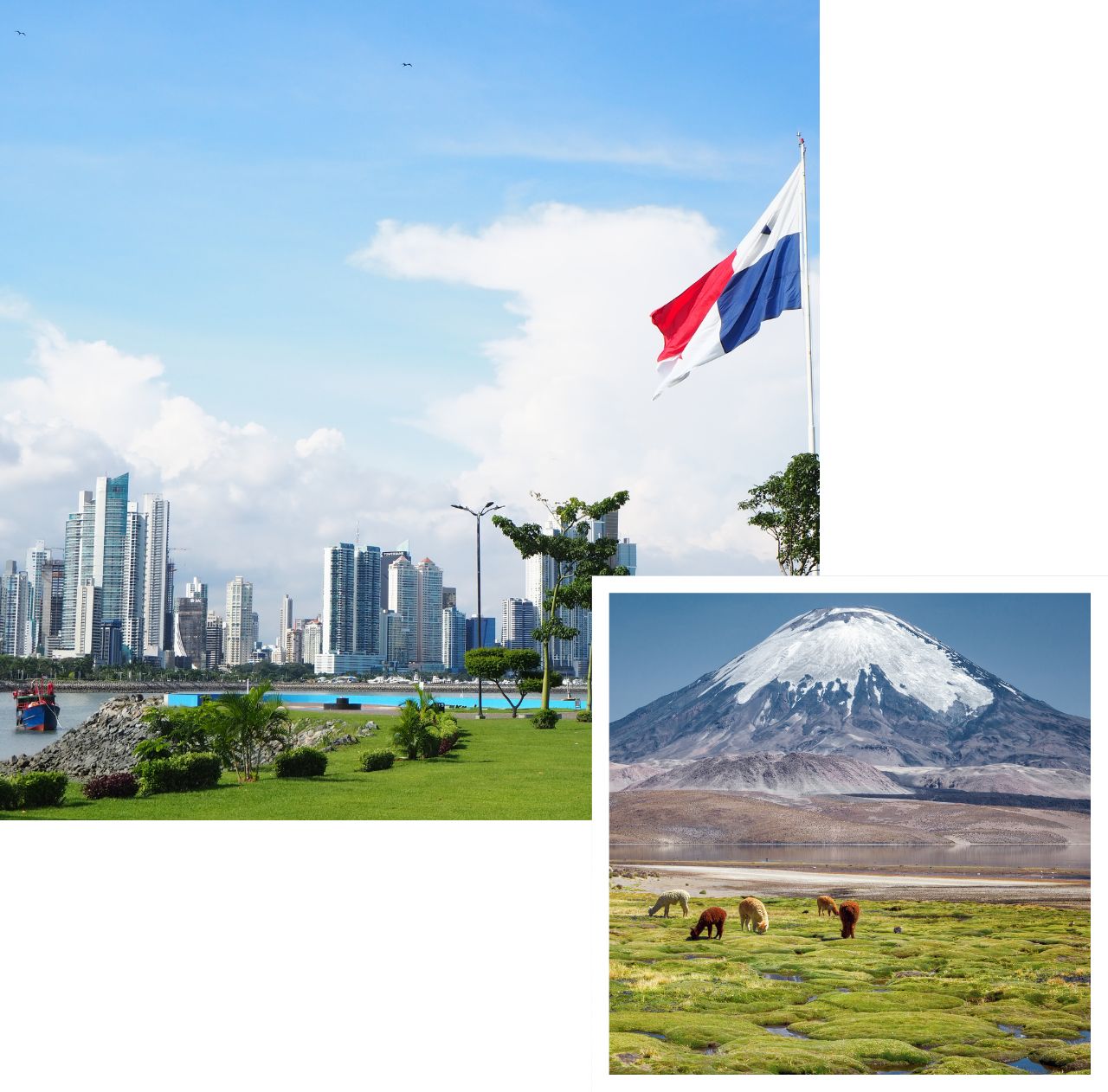 international removals to south america
