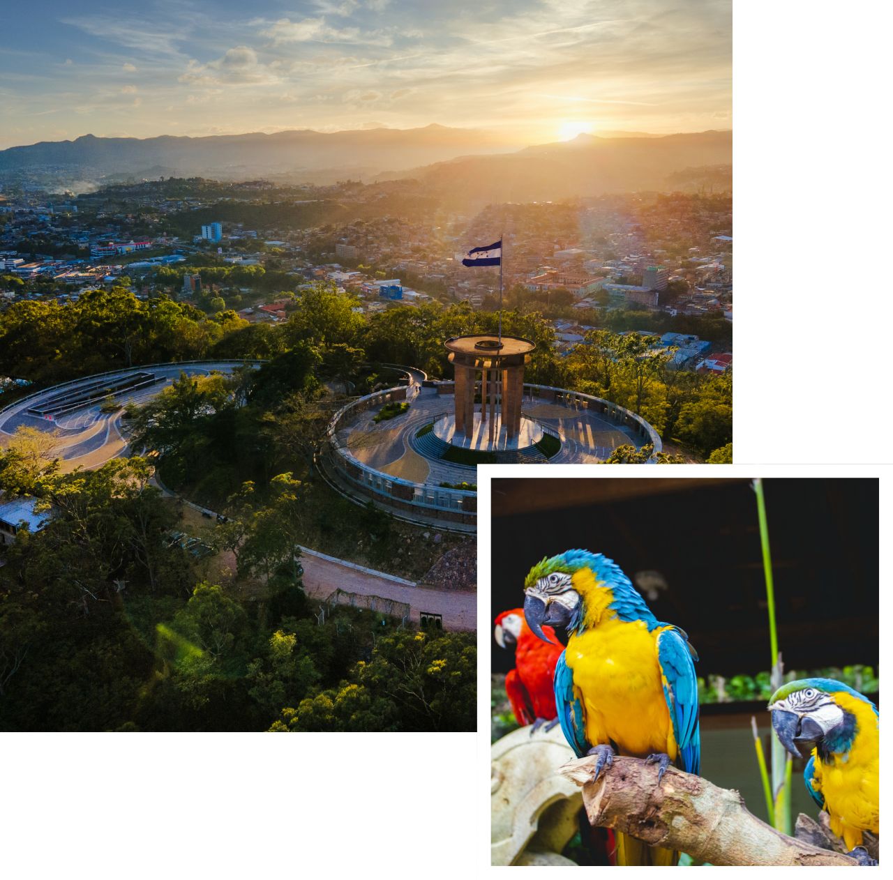 international removals to honduras