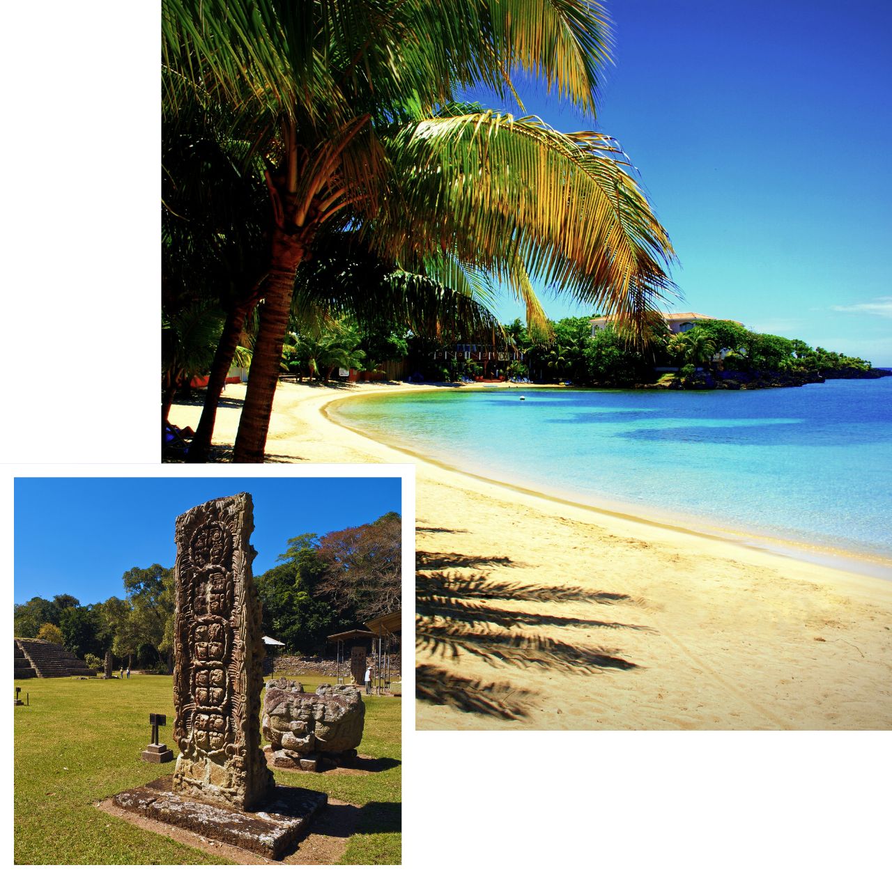 international removals to honduras