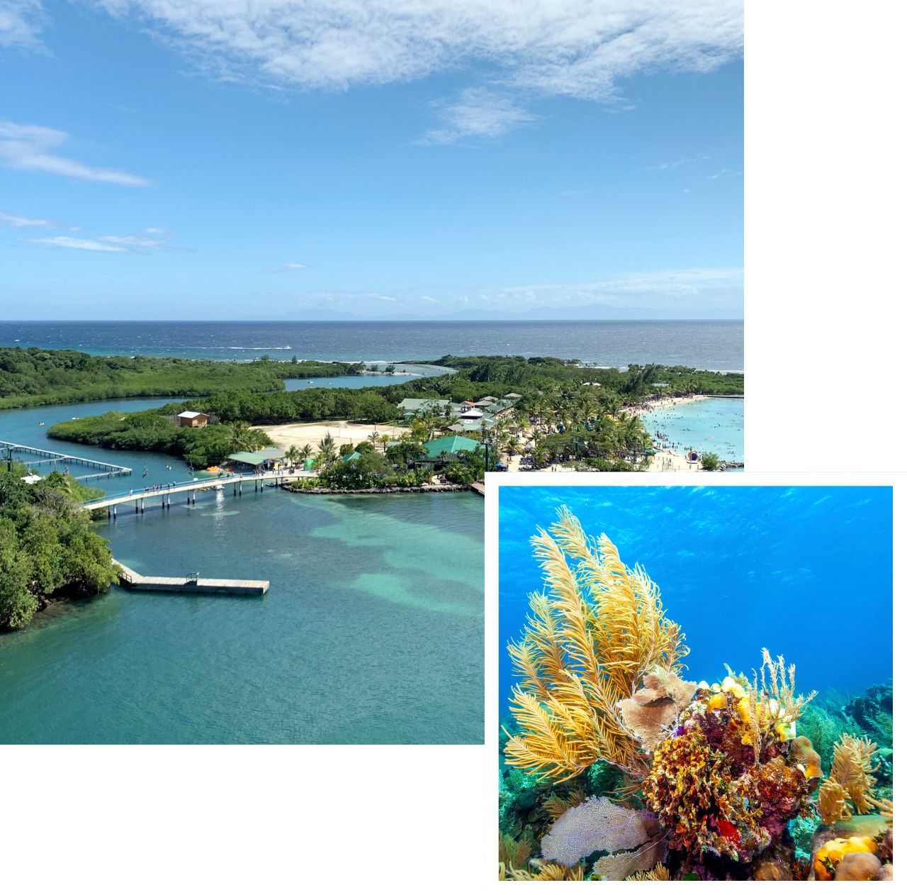 international removals to honduras