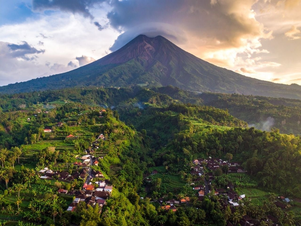 removals to Yogyakarta