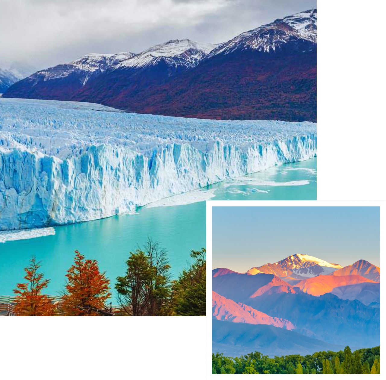 International removals to argentina
