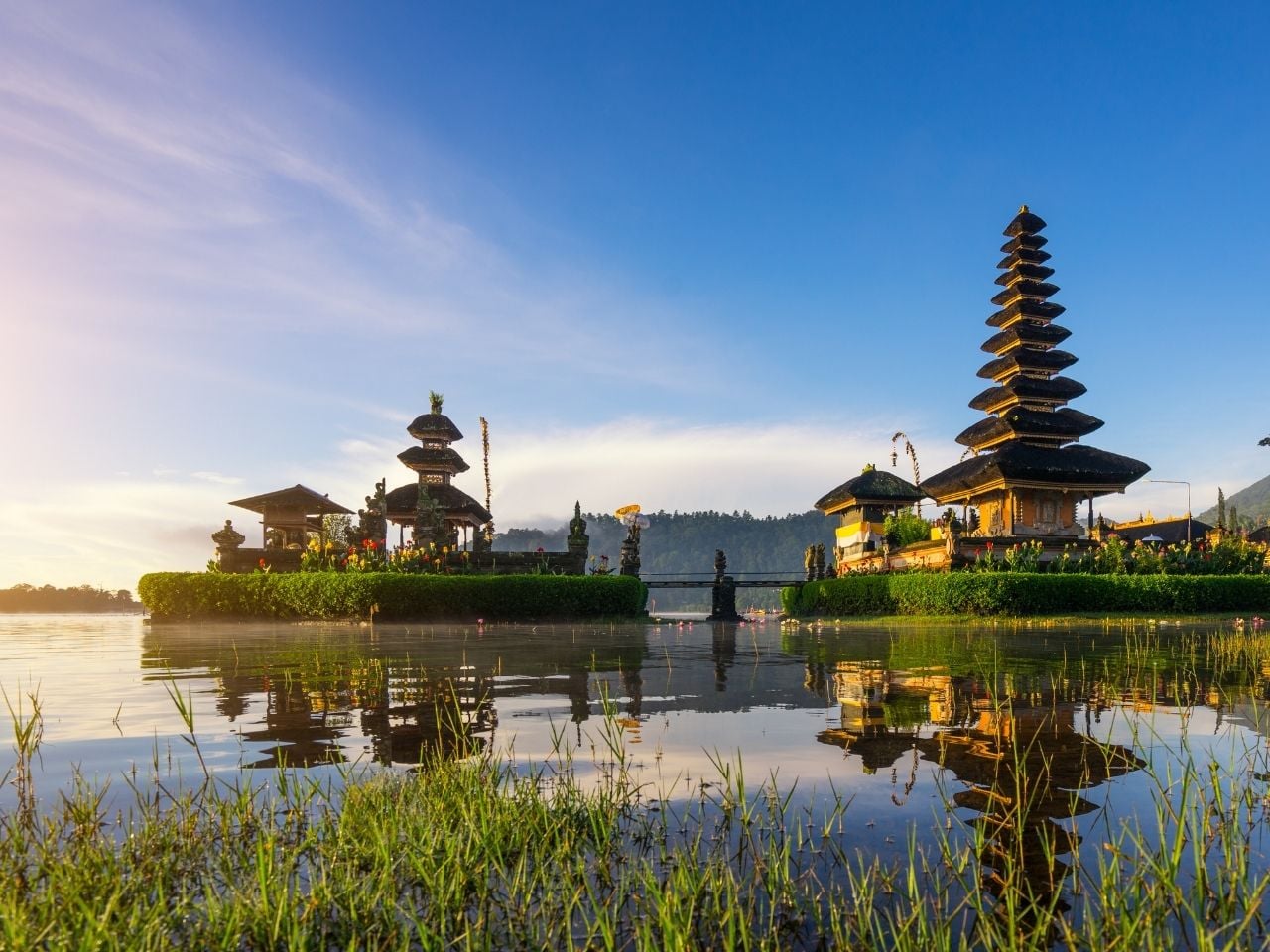 international removals to bali