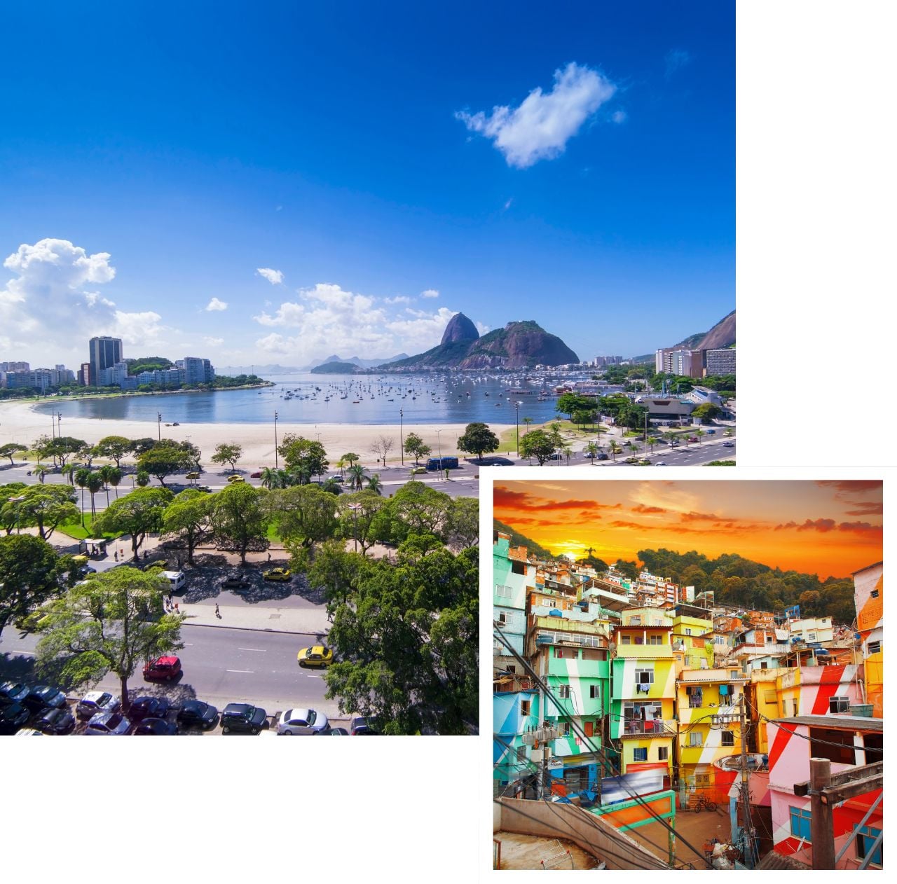 International removals to brazil