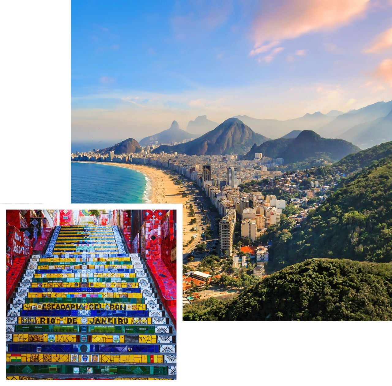 International removals to brazil