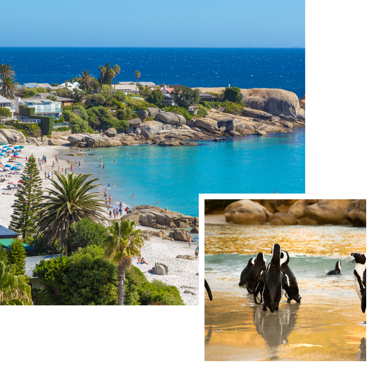 international removals to cape town