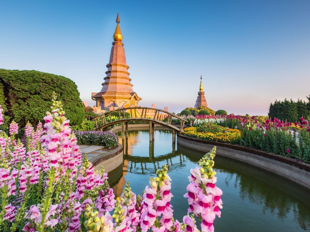 International removals to chiang mai