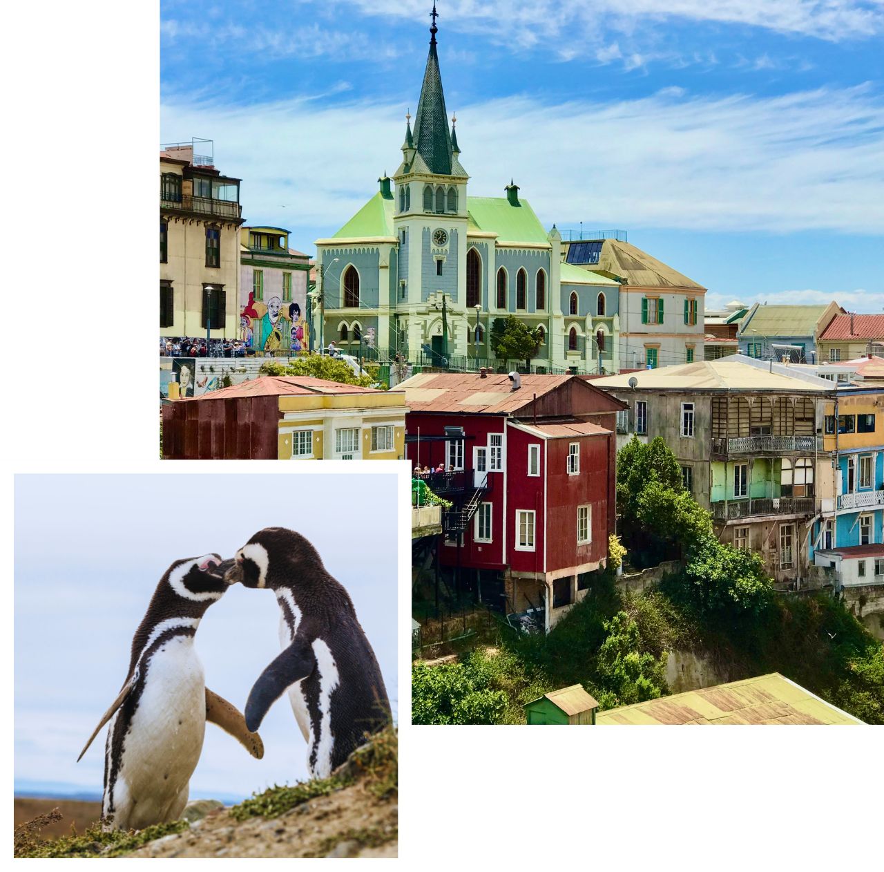 International removals to Chile