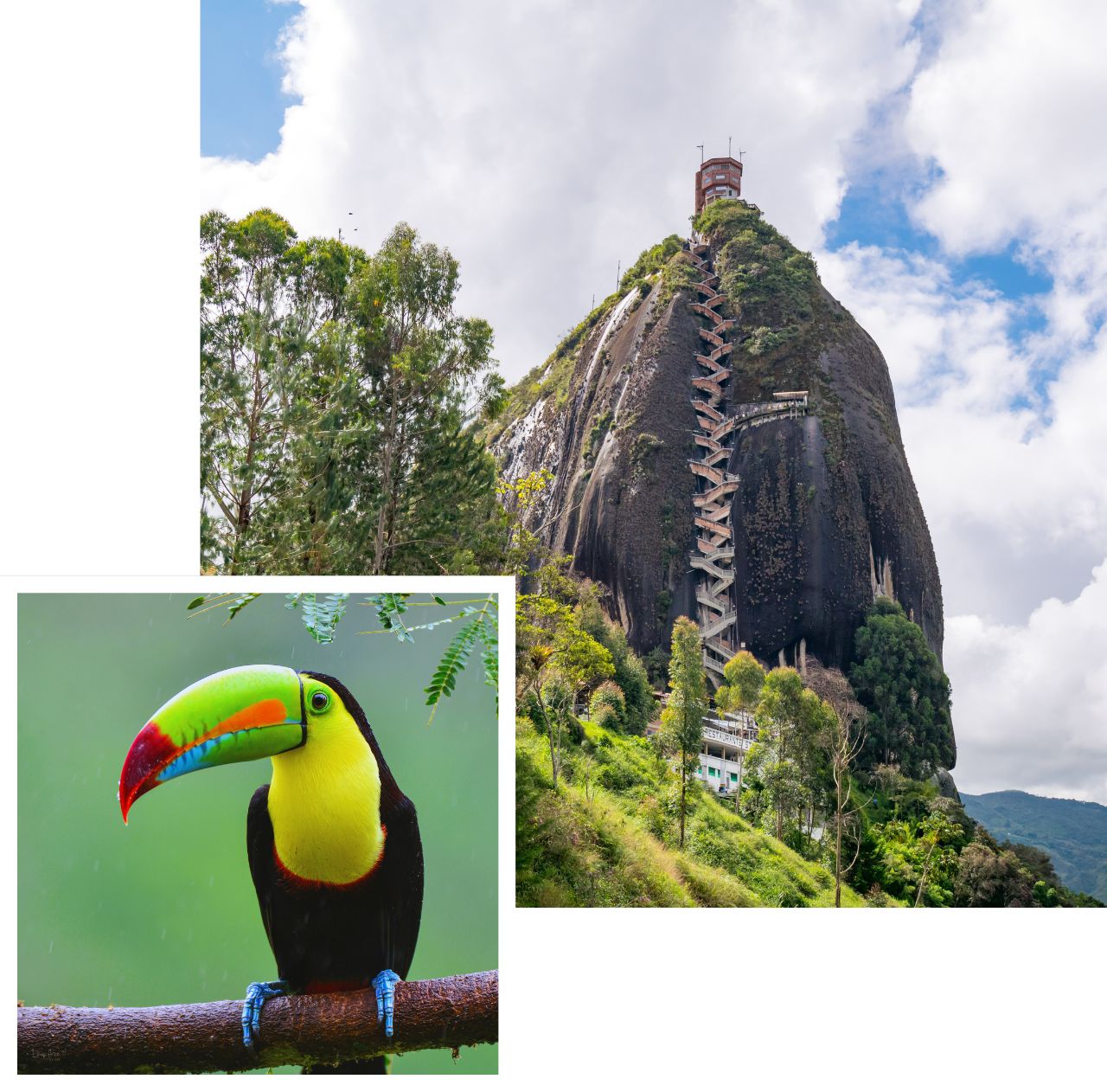 International removals to Colombia