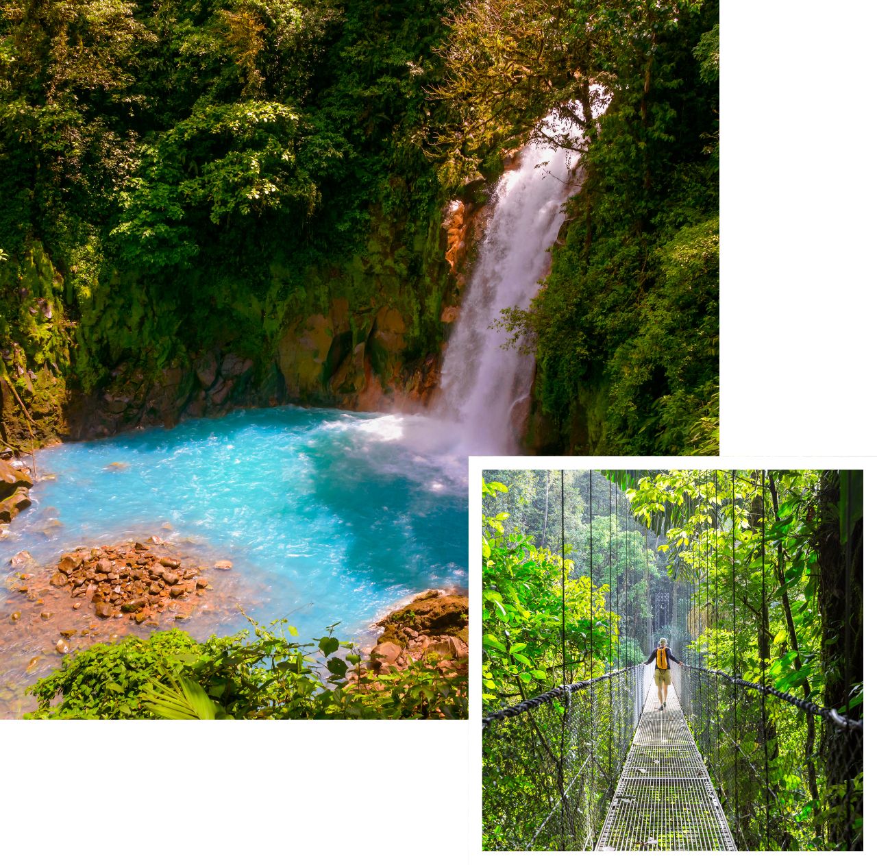 International removals to Costa Rica