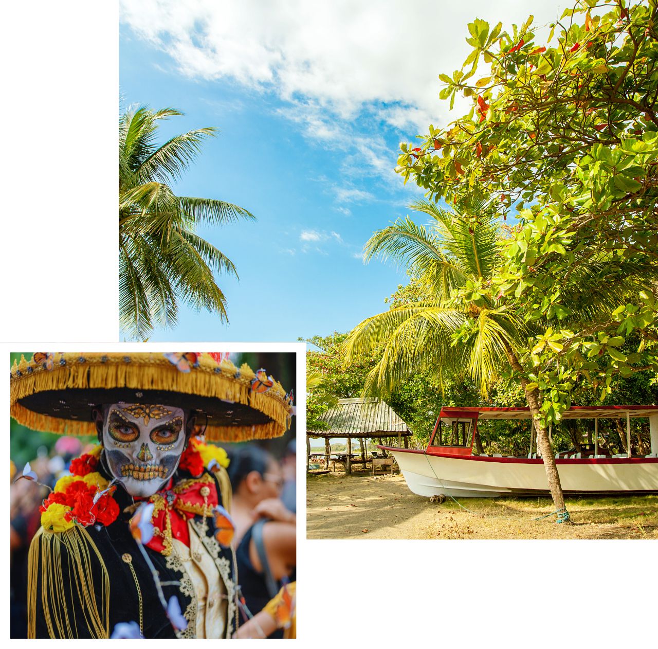 International removals to Costa Rica