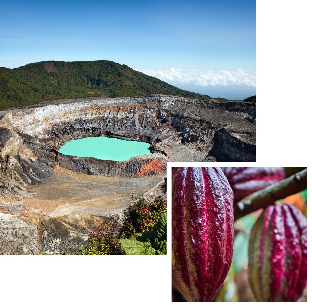 International removals to Costa Rica