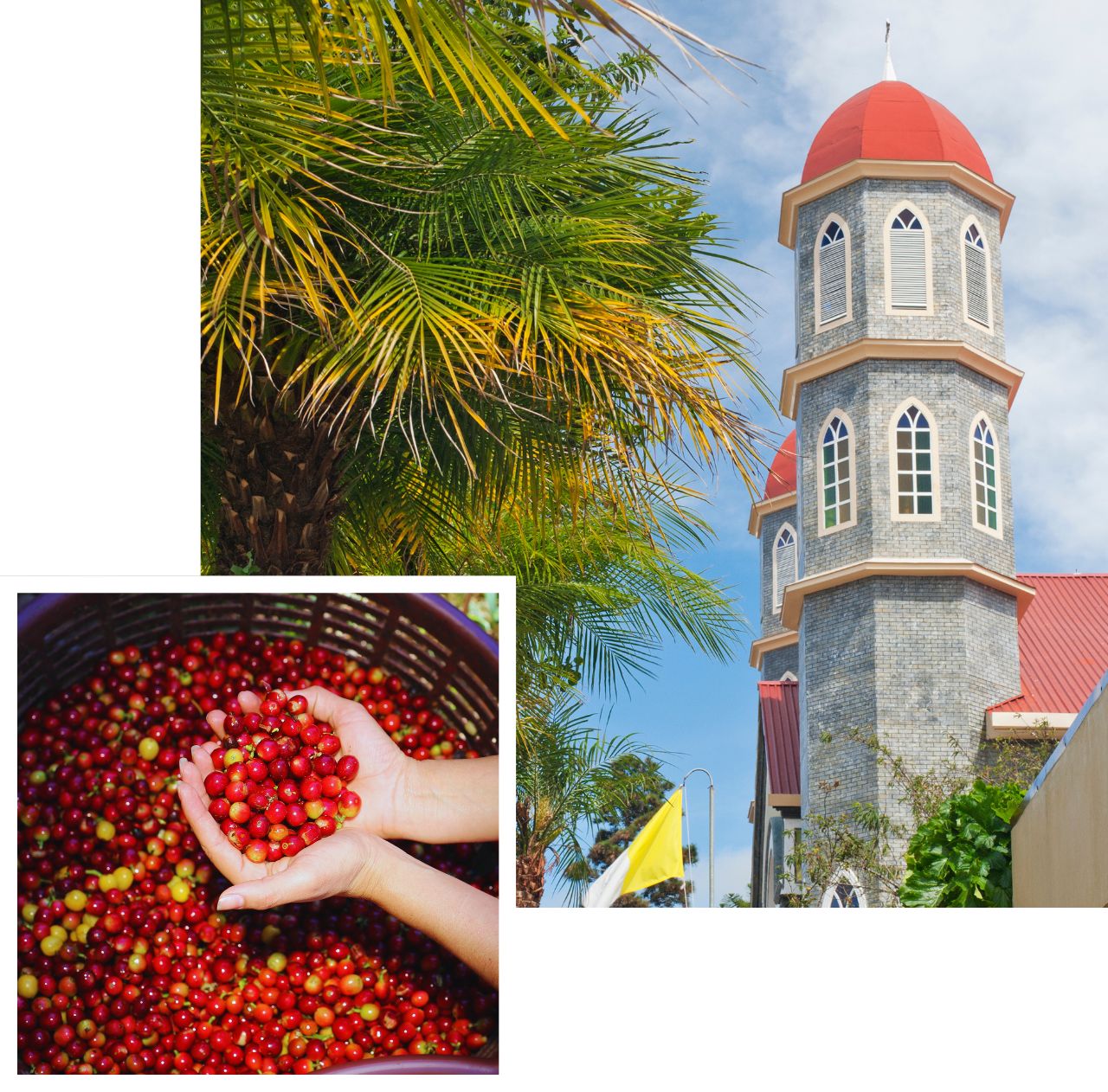 International removals to Costa Rica