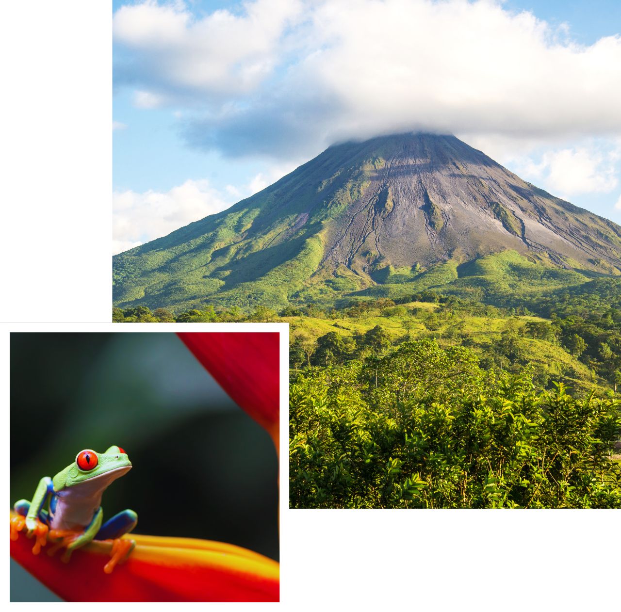 International removals to Costa Rica
