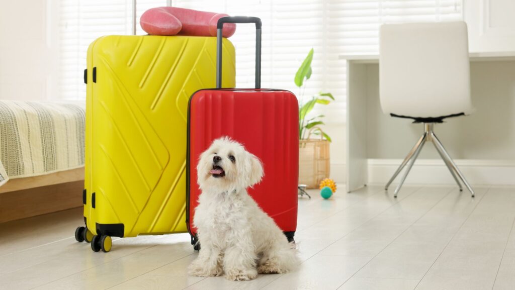 relocating with pets