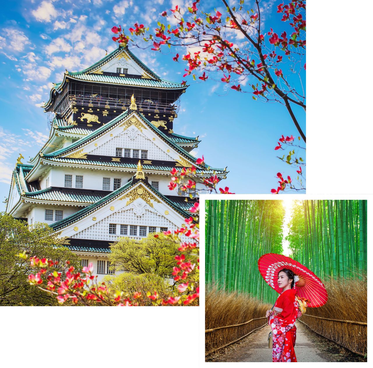 international removals to japan