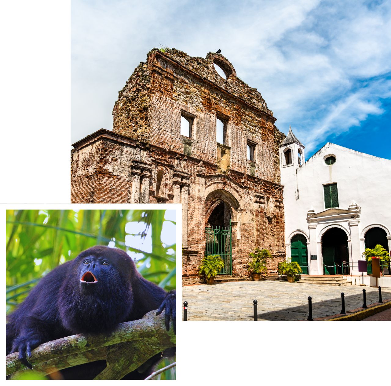 international removals to panama