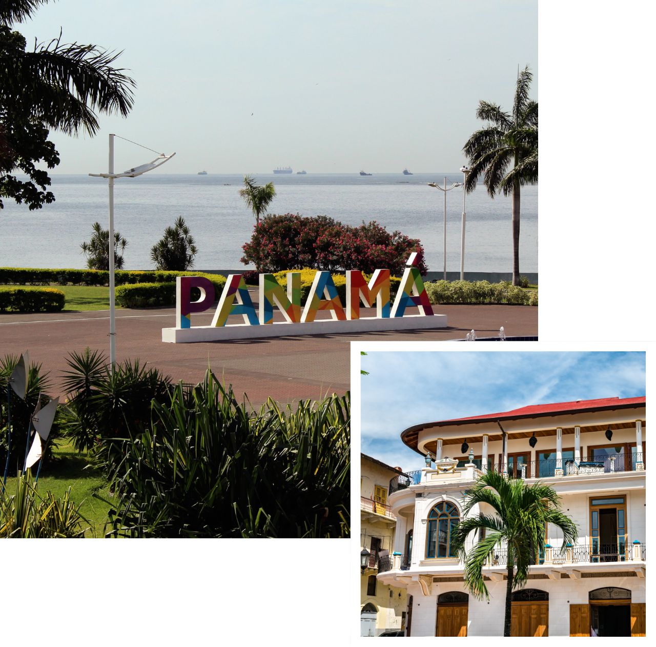 international removals to panama