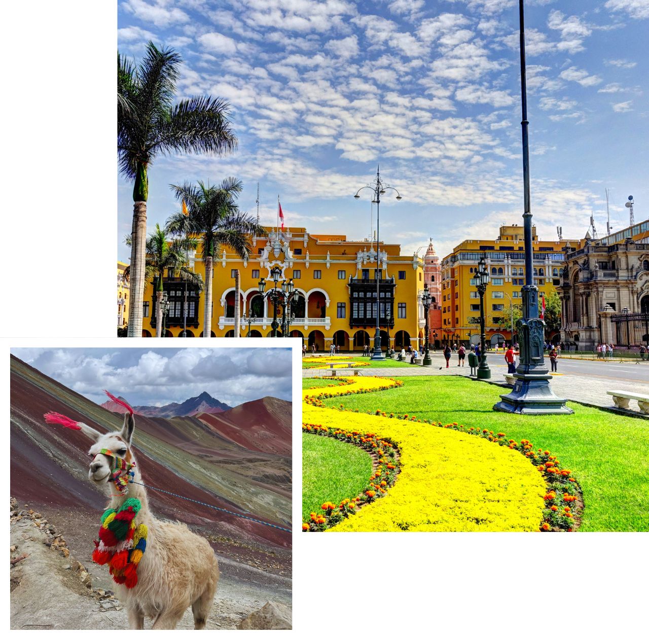international removals to peru
