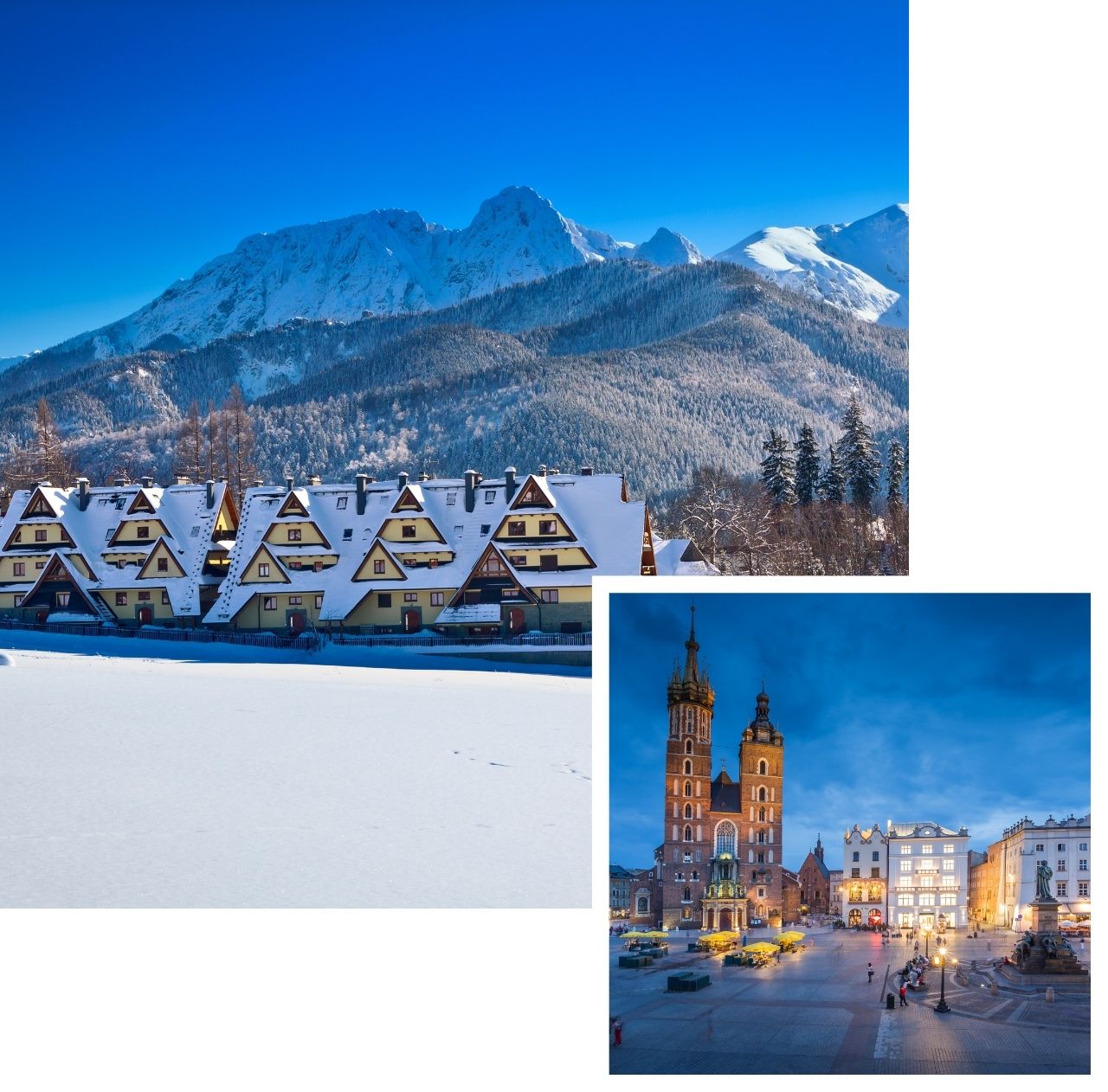 international removals to poland