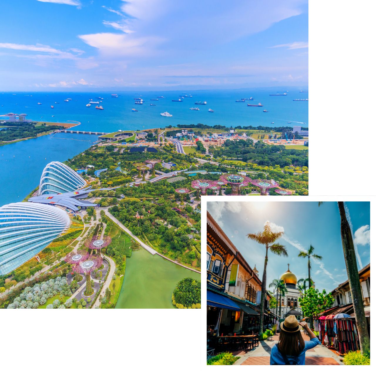 international removals to singapore