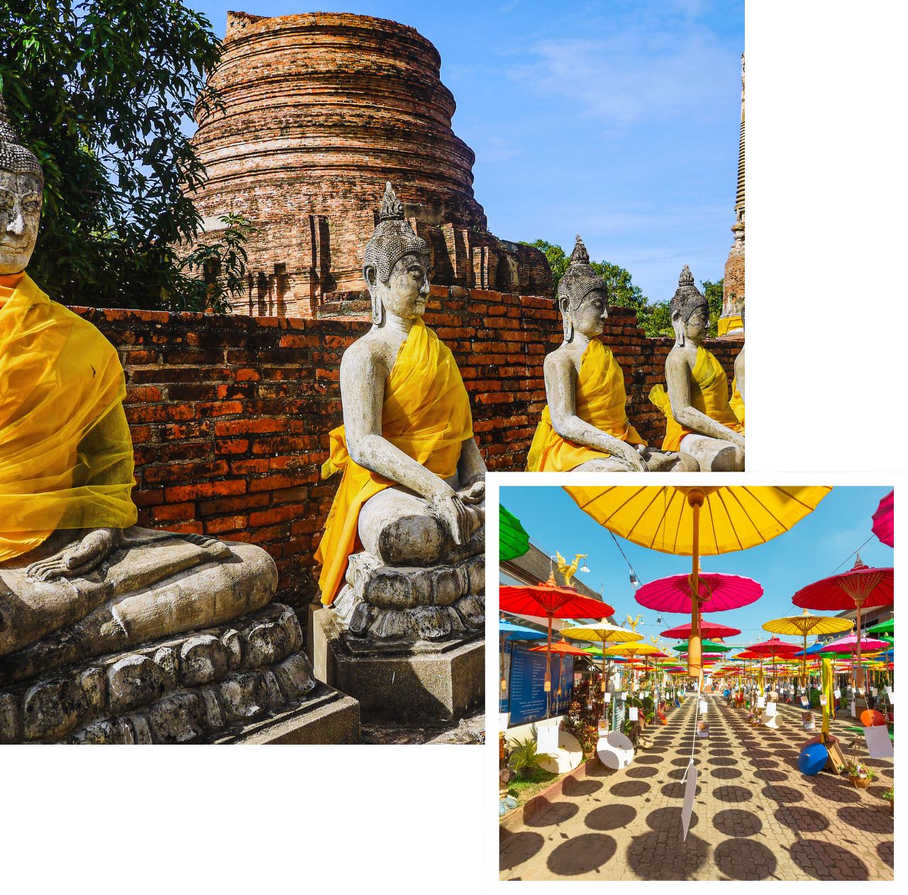 International removals to thailand