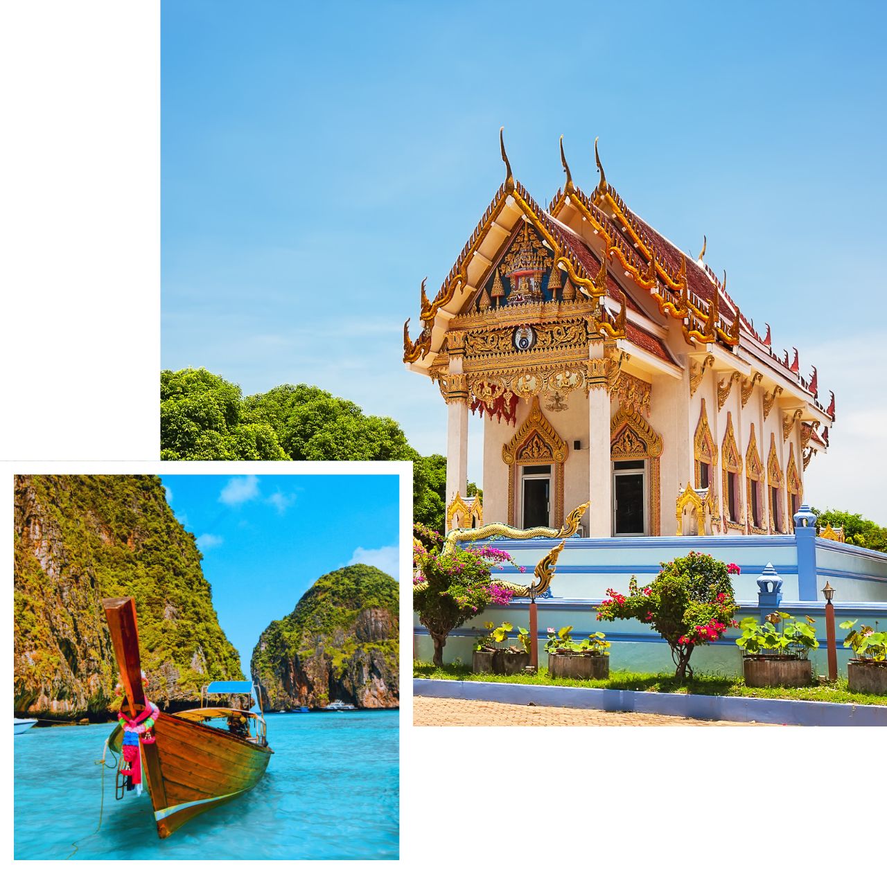 International removals to thailand