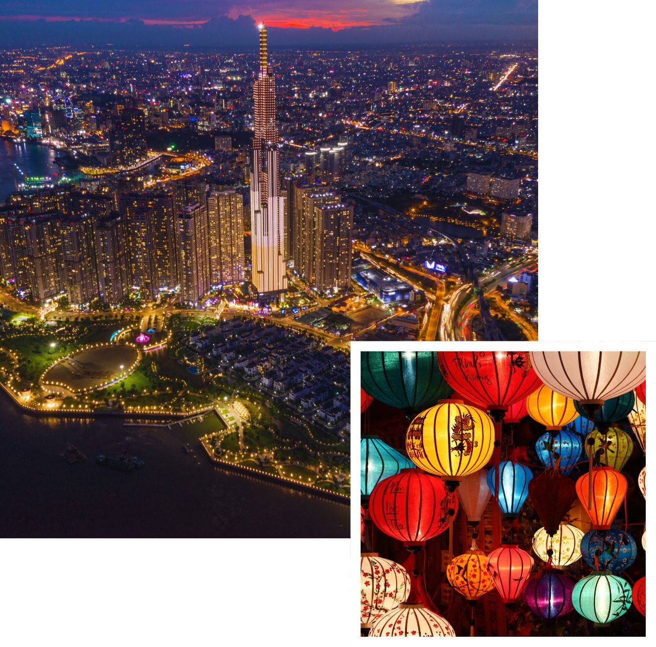 International removals to vietnam