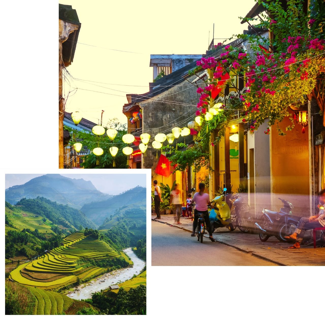 International removals to vietnam