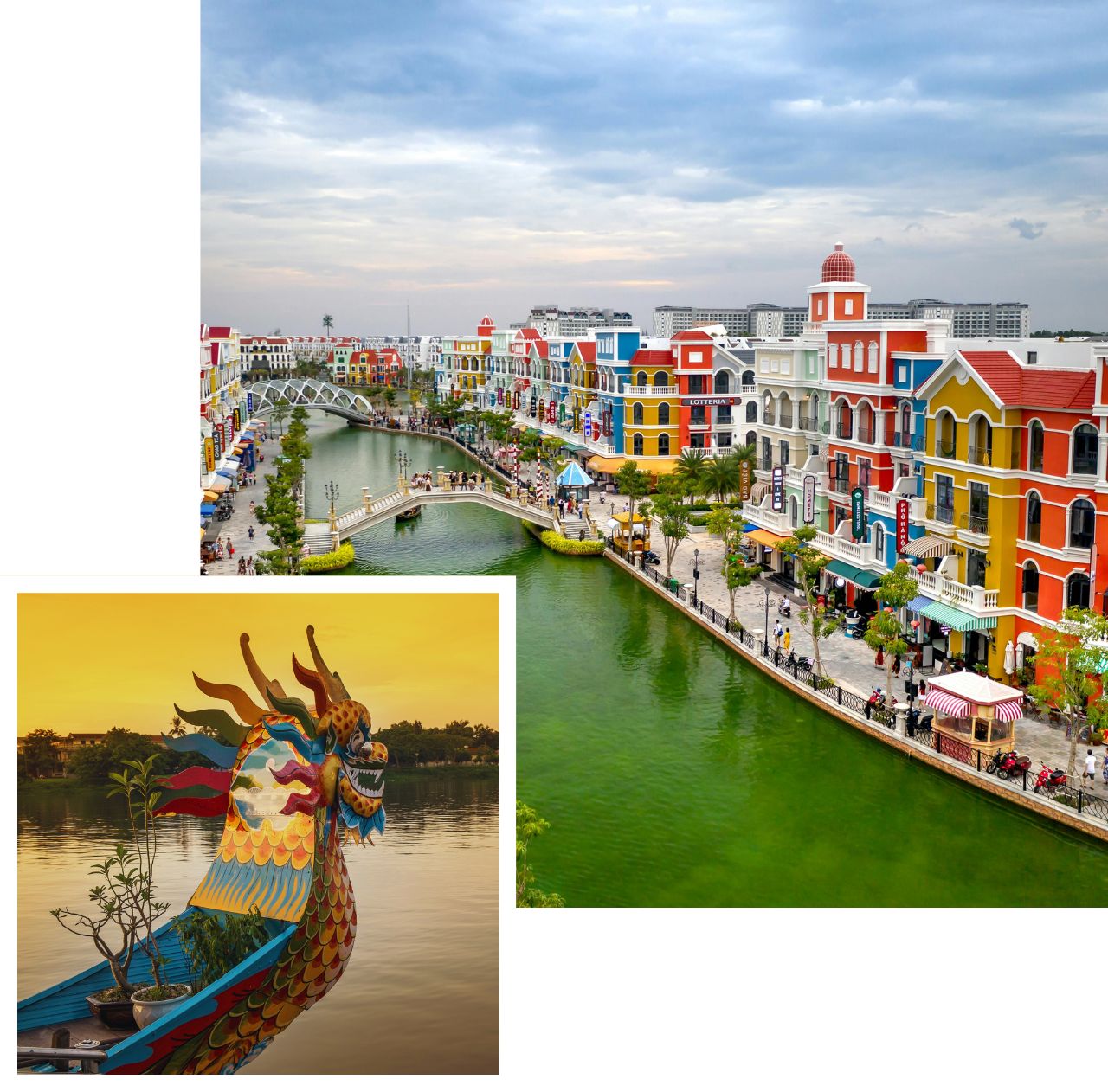 International removals to vietnam